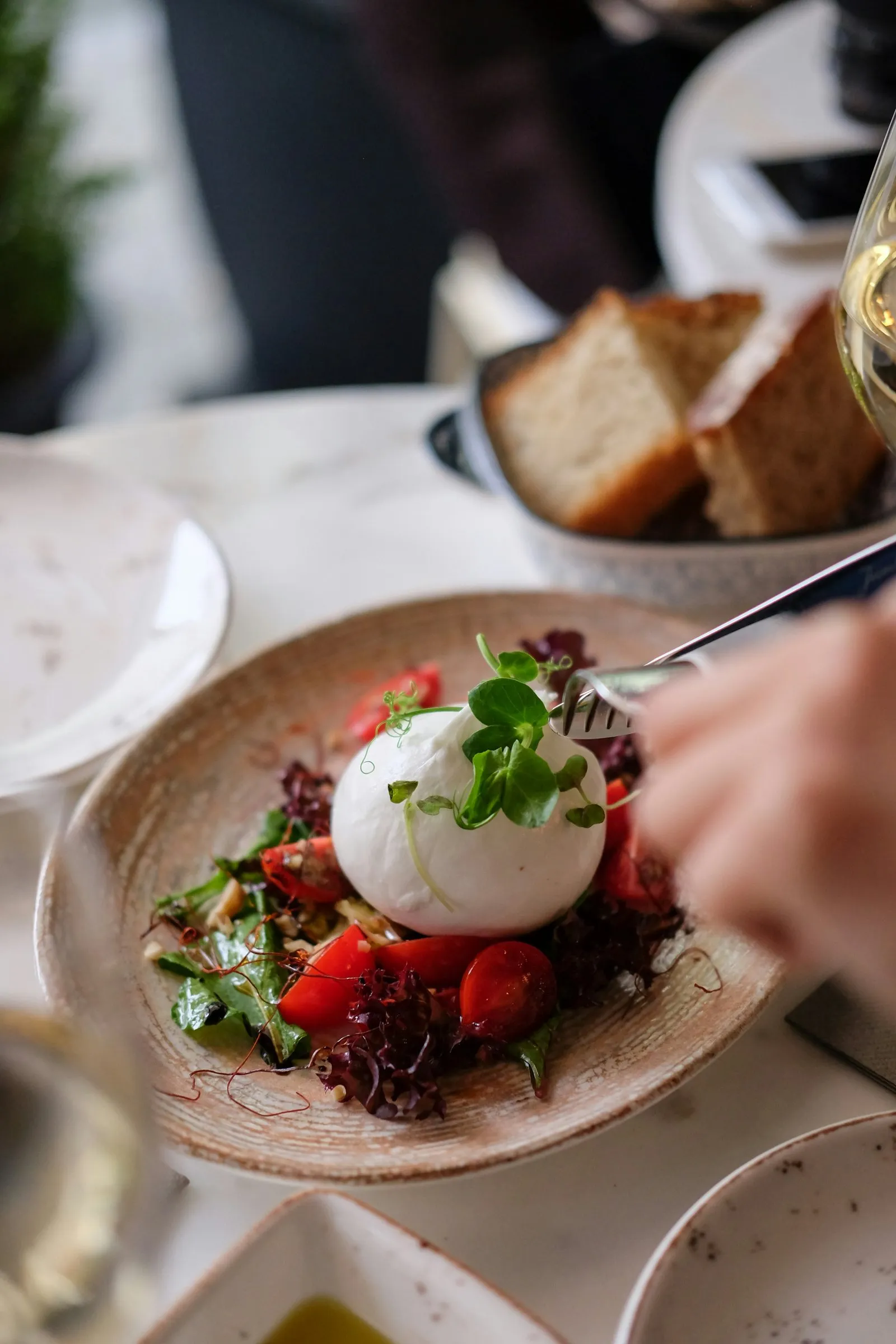 Burrata with heirloom tomatoes and greens